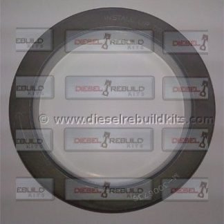 crank seal n14